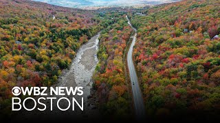 Expert optimistic about fall foliage season in New England