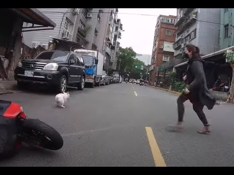 2022.01.14 台北市中正區寧波西街 機車被狗嚇到摔車（此路段7~9點為單行道）