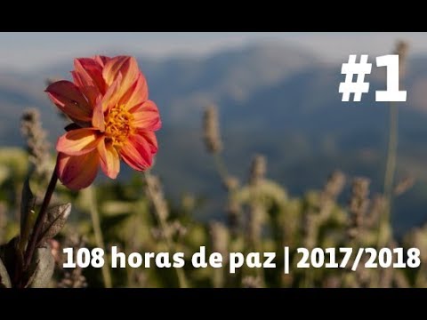 #1 | 108 horas de paz 2017/2018 | Saúde Individual e Coletiva cultura de paz valores