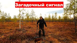 видео: По болотам Кировской области в поисках МЕТАЛЛОЛОМА. Находка которая не поддалась. Второй день в лесу картинка: По болотам Кировской области в поисках МЕТАЛЛОЛОМА. Находка которая не поддалась. Второй день в лесу