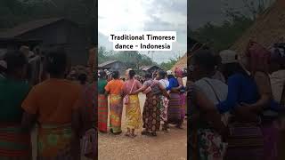 Traditional Timorese Dance When Holding A Ceremony In Front Of Tribes House culture dance tribal