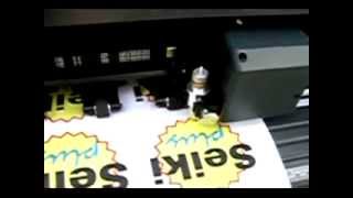 Contour cutting on plotter Seiki