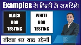 What are Black Box and White Box Testing in Software Engineering | Dr. Kapil Govil screenshot 2