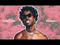 SAINt JHN - Roses (Dj Dark & Mentol Remix)