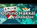【Travel.2】Peek into Oshino Hakkai / Yamanashi-忍野八海
