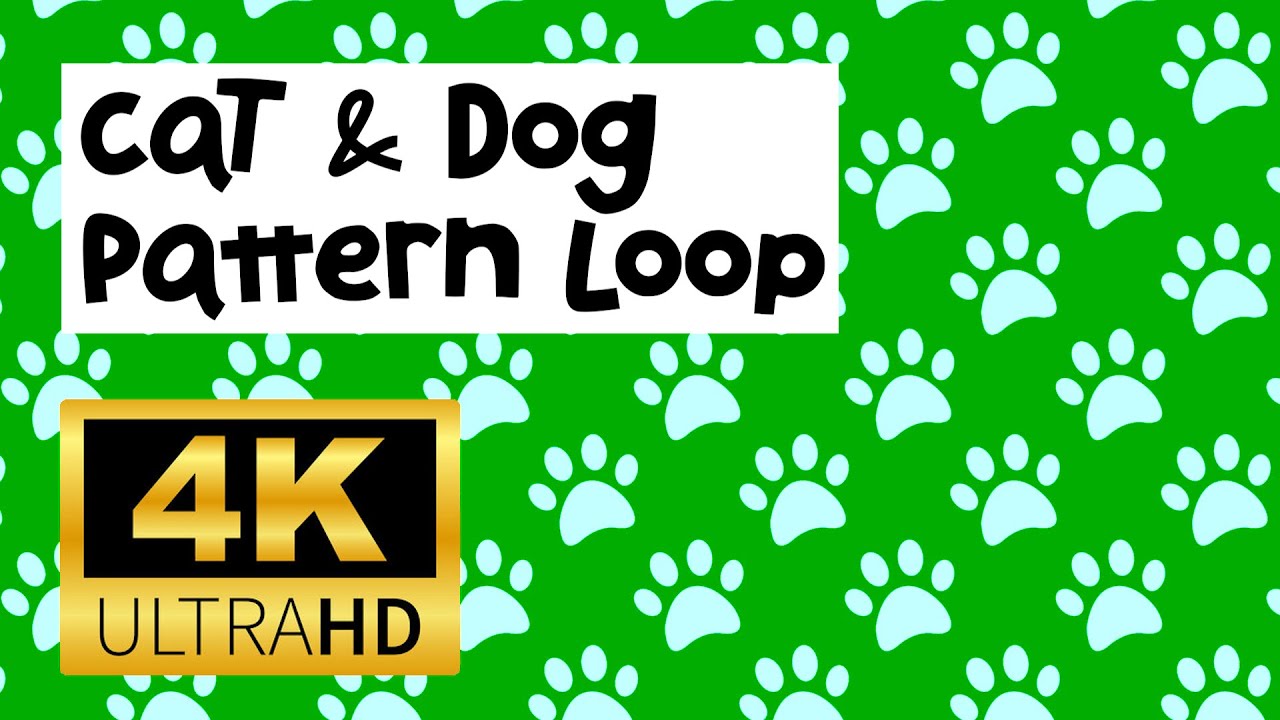 Free 4K Cat & Dog Pattern Loop Background | Cute Paw Print 
