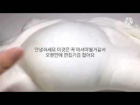 버실만 부적절한 주제 돼요?/시리즈 대규모 시리즈 소규모 시리즈 버실 부적절한 주제