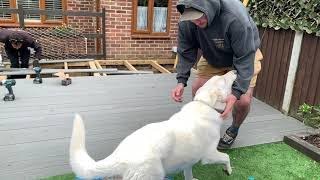 Transforming A Rotten Wooden Deck With Composite Decking - TimeLapse