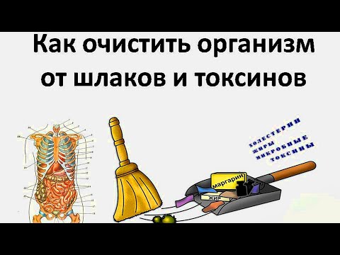 Травяной сбор для очистки организма от шлаков и токсинов. Рецепт из народной медицины #2