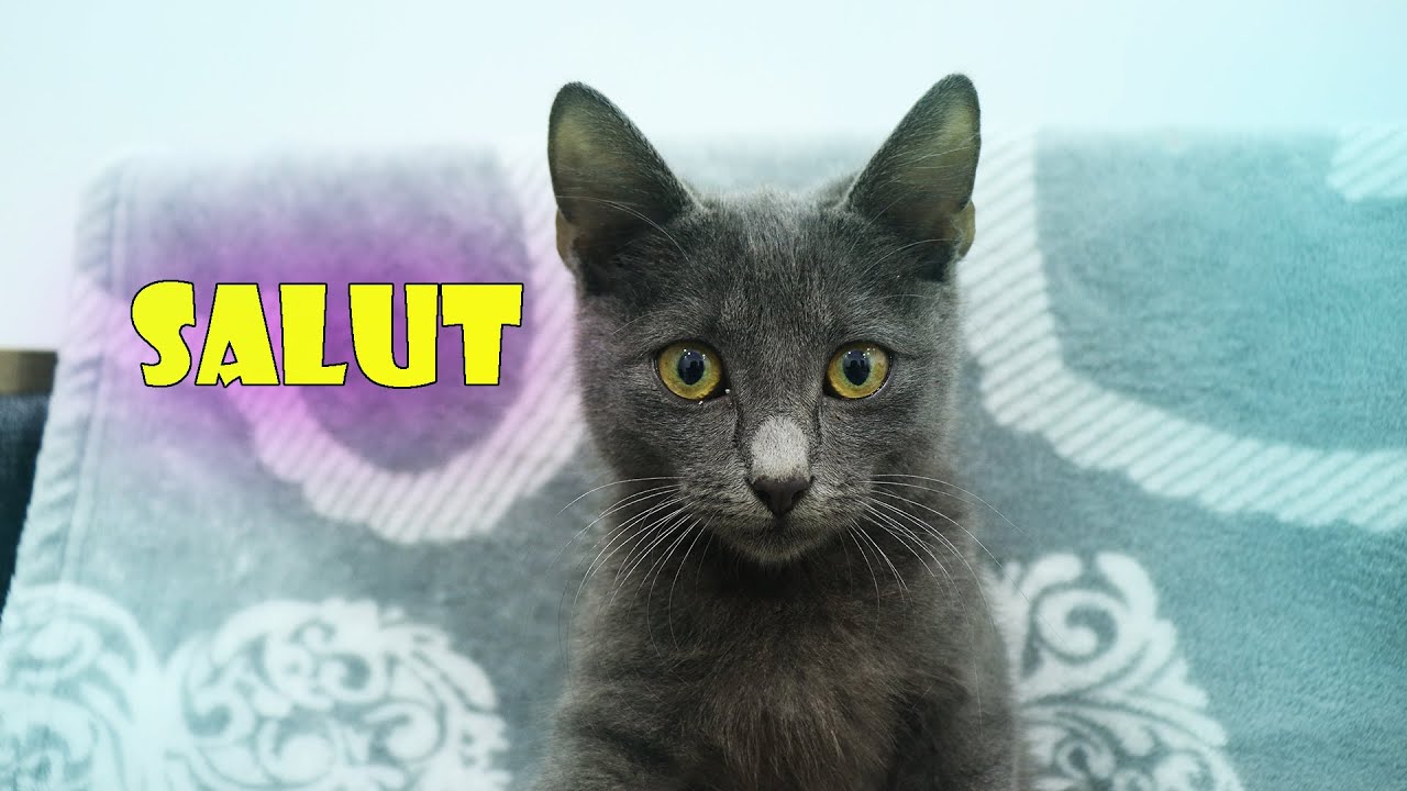 Membru Nou in Familie