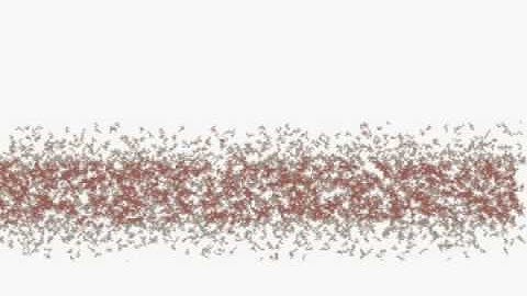 binary fission  -- in an imaginary world
