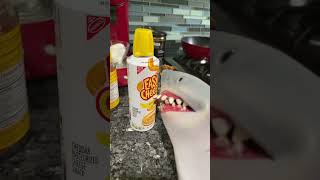 shark puppet gets cheese and drink cheese water