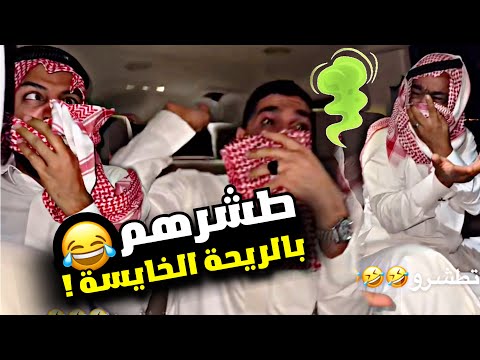 طشرهم بالريحة الخايسة سنابات مرتضى السلمان 