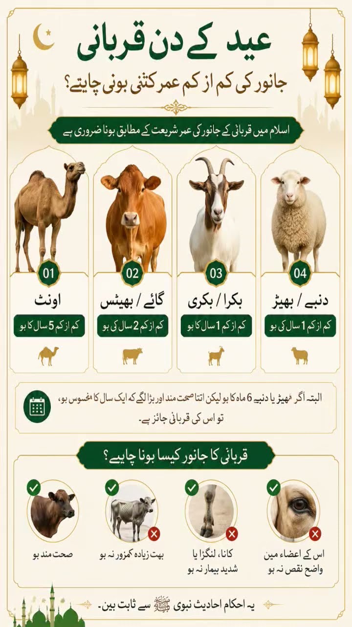 🙋‍♂️السلام علیکم💐 - ShareChat