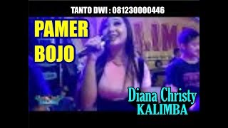 Hak e hak e !! DIANA CHRISTY - PAMER BOJO - KALIMBA MUSIK LIVE BANGAK BANYUDONO