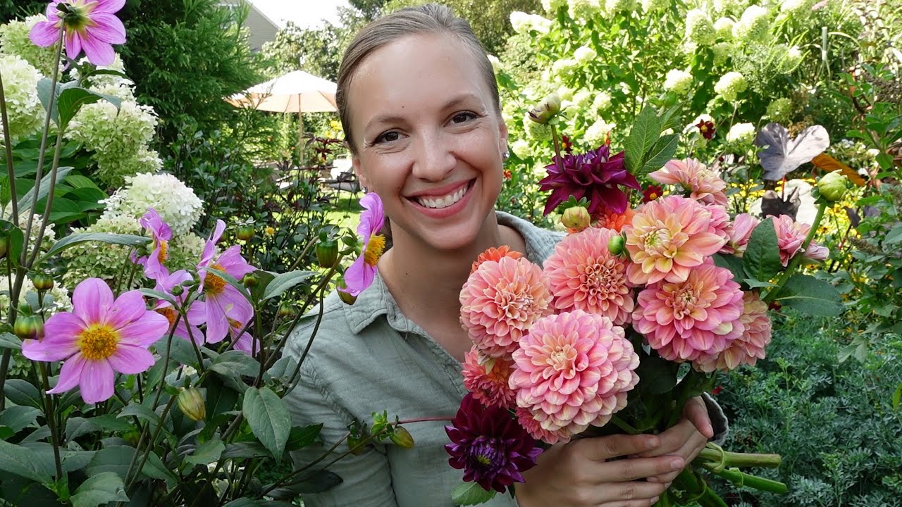 Get More Dahlia Flowers with These Tips! Northlawn Flower Farm