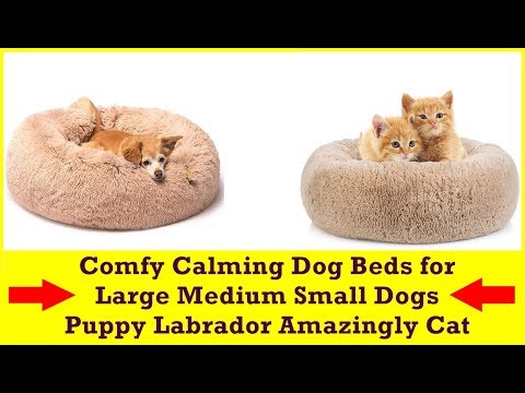 comfy-calming-dog-beds-for-large-medium-small-dogs-puppy-labrador-amazingly-cat-marshmallow-bed