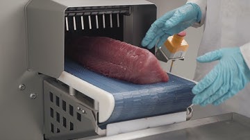 Intelligent Portion Cutter Fish - PORTIO 3