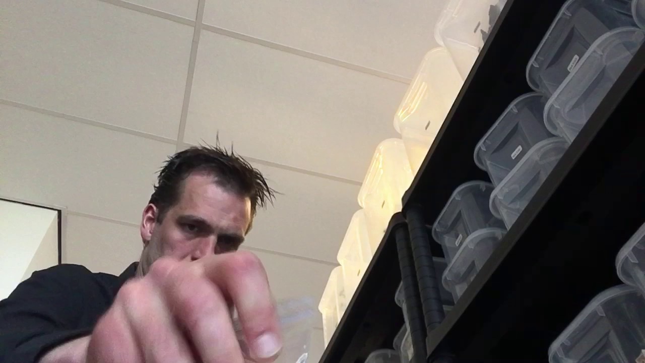 Picking a FastParts BrickLink Order