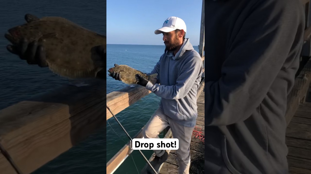 Drop shottin Hali from the pier! 