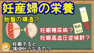 【管理栄養士】　妊産婦の栄養についての解説講座