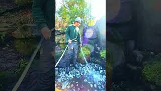 Working-At-A-Pond-Company Vibes