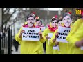 'Chicken' protestors stage stunt outside Downing Street