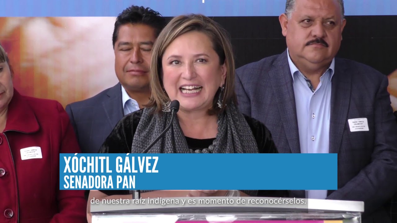 Calimaya en el Senado senador kahulugan