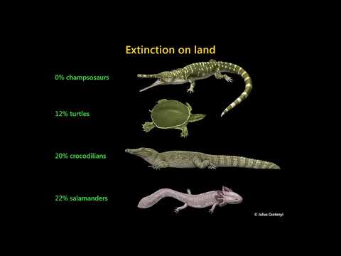 Video: Bukti Fosil Mendedahkan Bagaimana Tumbuh-tumbuhan Bertindak Balas Terhadap Pendinginan Semasa Peralihan Cretaceous-Paleogene