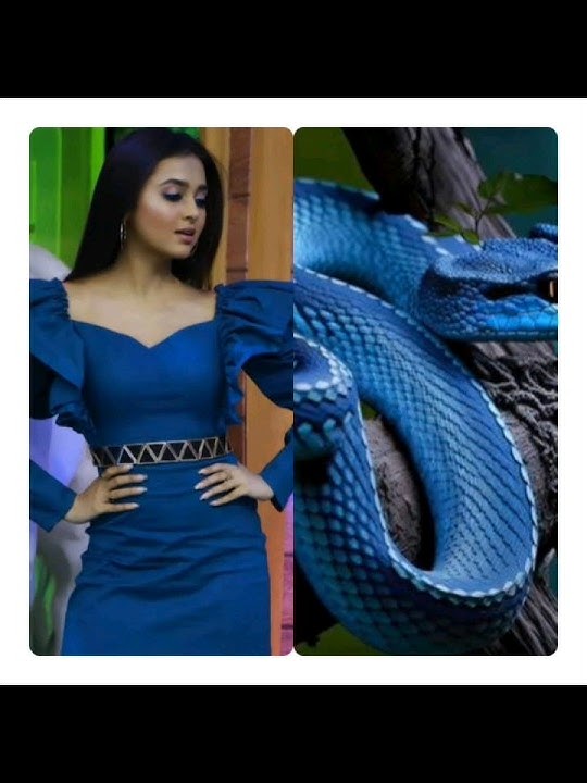 all nagin 6🐍look is different 😍#shortsfeed #trending #youtubeshorts