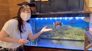 【めぐ旅】宮古島おすすめスポット🐟