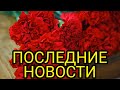 Стали известны дата и место прощания с погибшей народной  артисткой россии..