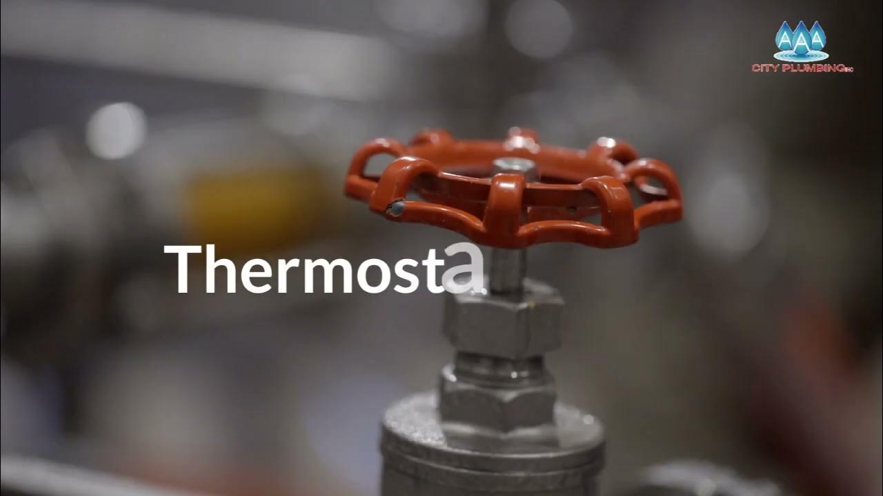 Why Does Flushing the Toilet Affect the Shower? Plumber Charlotte