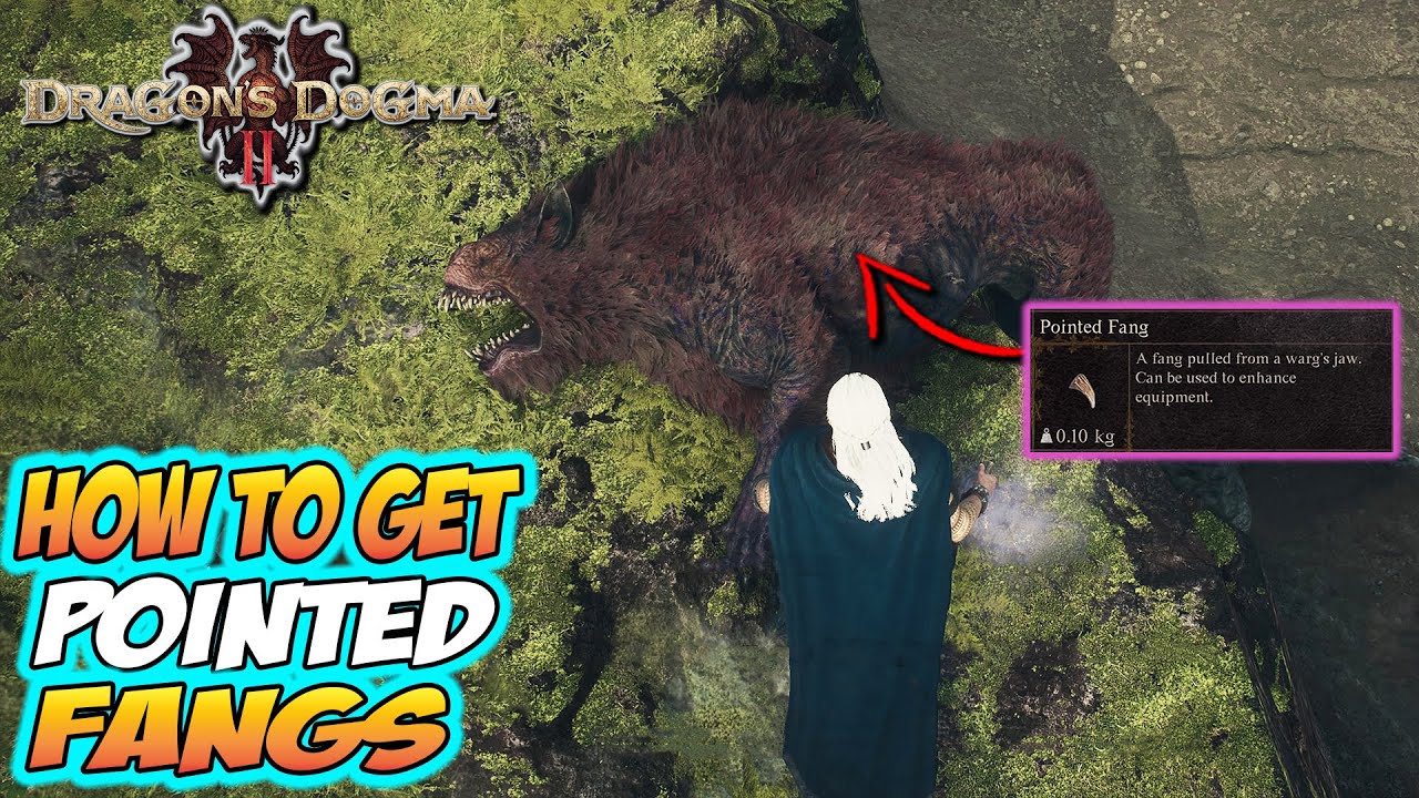 Dragon's Dogma 2 - How to GET POINTED FANGS Easy