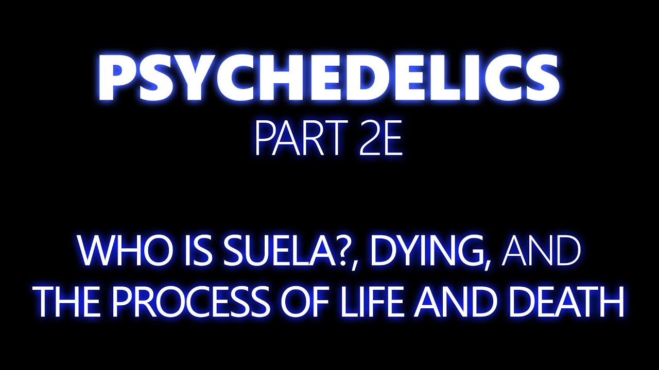 Who is Suela?, Dying, and The Process of Life and Death • My DMT Psychedelic Experience Part 2e
