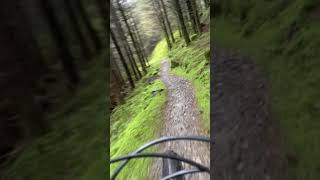 Beginners luck 1st attempt on rostrevor forest red trail