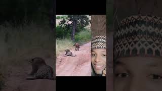 wane karin magana yakamata asa anan?