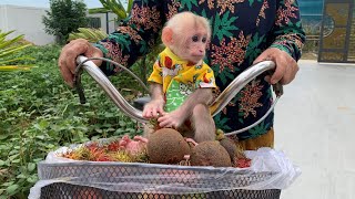 Grandma took the Bibi monkey to the market to buy fruit to eat