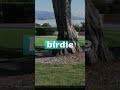 is this the shortest pitch in you've seen??? | WGT Golf