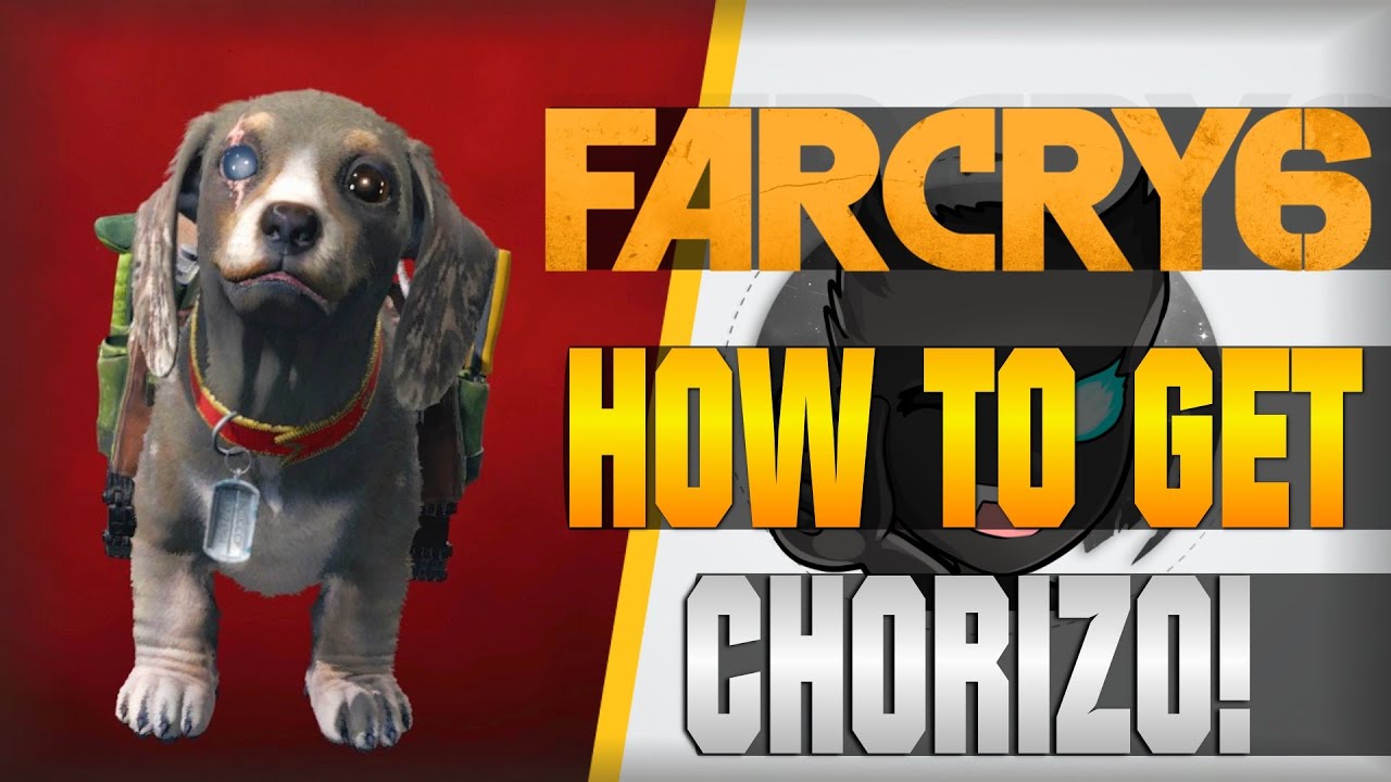 HOW TO GET CHORIZO! (Wheelchair Dog) FAR CRY 6 [Amigo Guide] YouTube