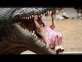 funny Video 2017 !! compilation !! [ Whatsapp funny videos 2017 ]