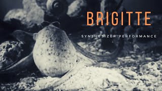BRIGITTE - Jam Snippet feat. Volca Modular and Sample, iOS AUM, KLEVGR Tines and Analog Heat