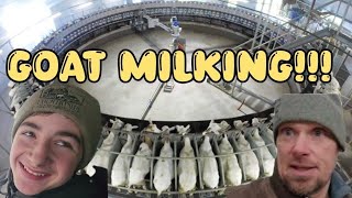 Building a Goat ROTARY Milking Parlor | Farm Construction