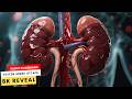 Hidden guardians battle toxins—your kidneys showcased in stunning 8K.