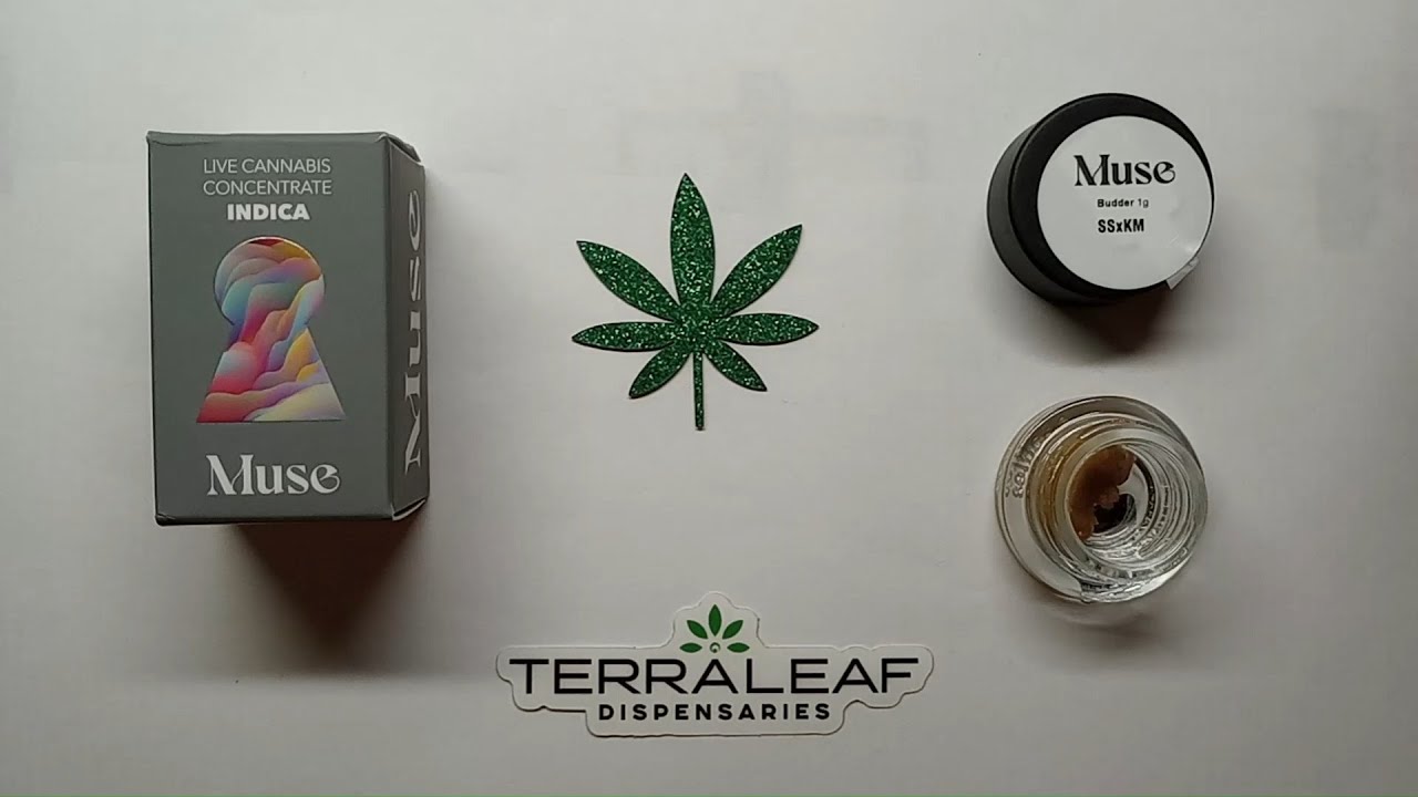 Muse SSXKM Live Budder Review