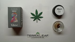 Muse SSXKM Live Budder Review