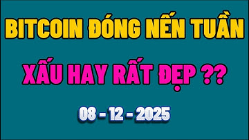 Phân Tích Xu Hướng Bitcoin Hôm Nay & Cập Nhật Thị Trường Crypto Ngày 08/12/2025