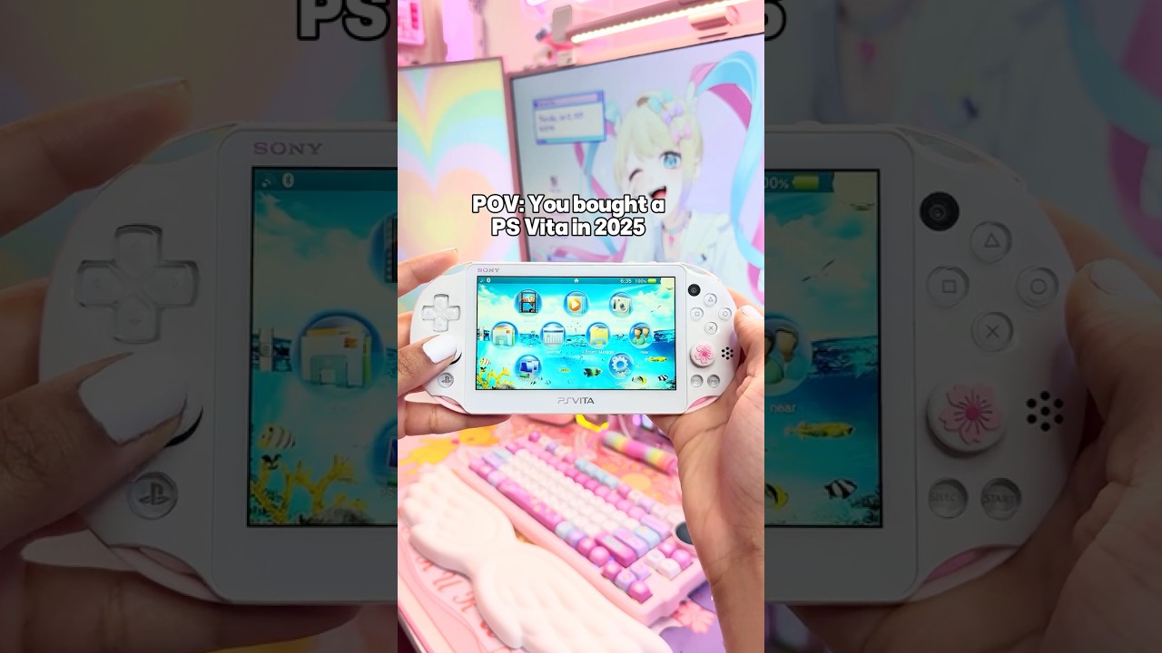 POV: You bought a PS VITA in 2025