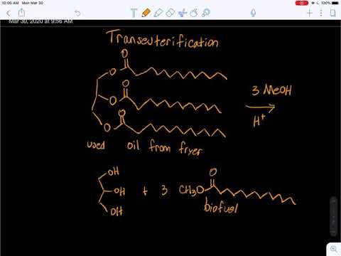 Transesterification and Preparation
