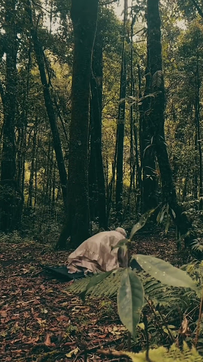 solat lah sebelum kamu di solatkan!                                jangan lupa like dan sucribe ya😊